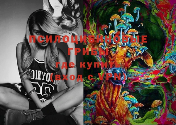 ПСИЛОЦИБИНОВЫЕ ГРИБЫ Абдулино