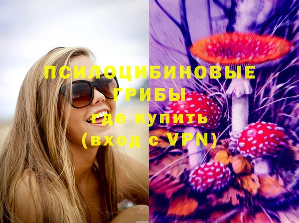 трава Абаза