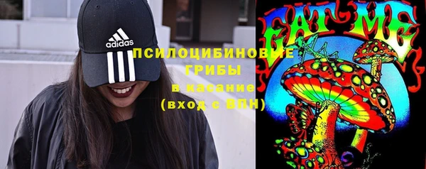трава Абаза