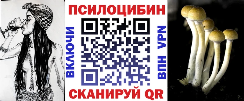 darknet как зайти  Почеп  Псилоцибиновые грибы Cubensis 